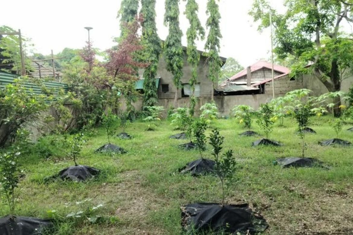Land for Sale in Matingain I, Lemery, Batangas – photo 7