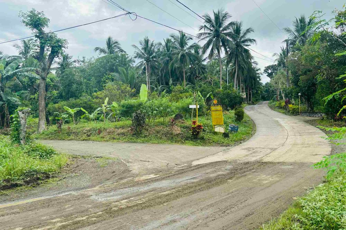 Land for Sale in Matipunso, San Antonio, Quezon – photo 2