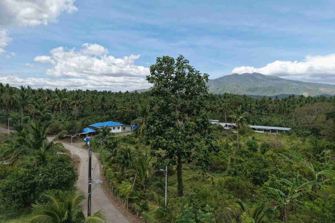 Land for Sale in Matipunso, San Antonio, Quezon – photo 4