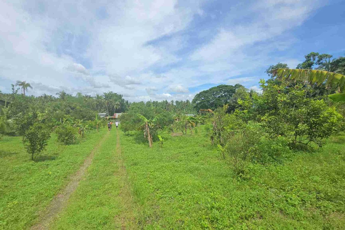 Land for Sale in Matipunso, San Antonio, Quezon – photo 7