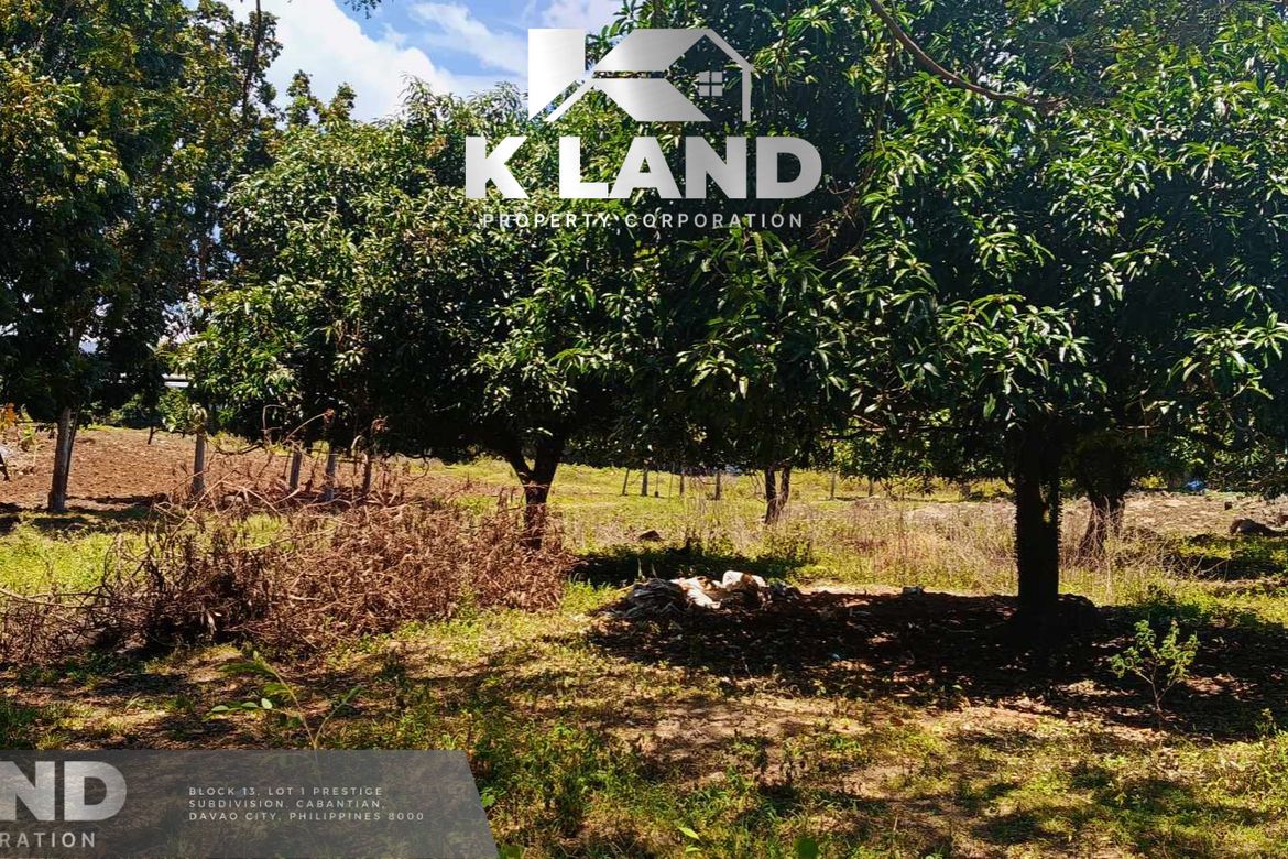 Land for Sale in Matti, Digos, Davao del Sur – photo 3