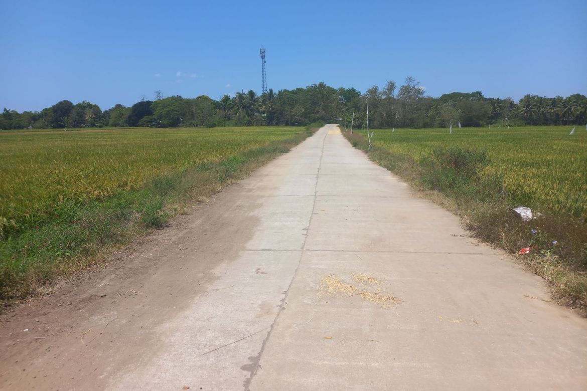Land for Sale in Matusalem, Roxas, Isabela