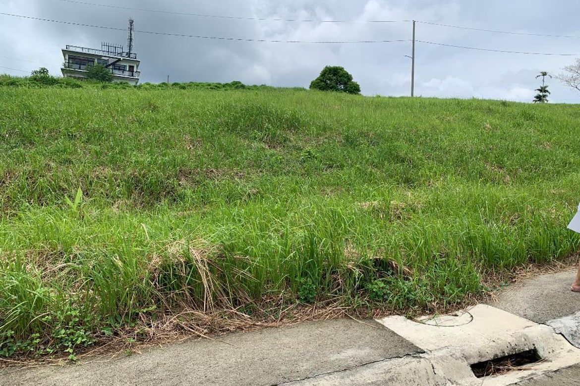 Land for Sale in Maugat, Nasugbu, Batangas – photo 4