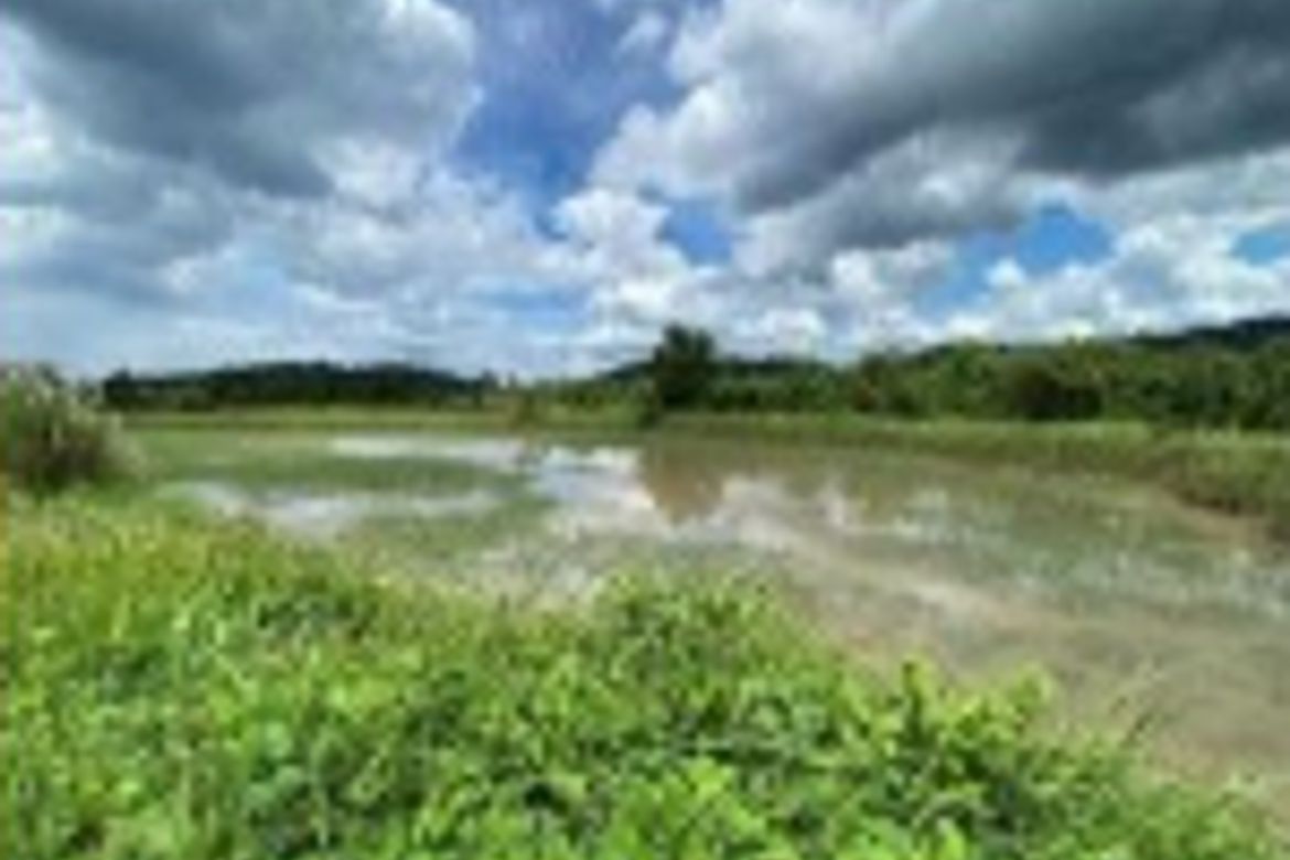 Land for Sale in Maugat, Nasugbu, Batangas – photo 4