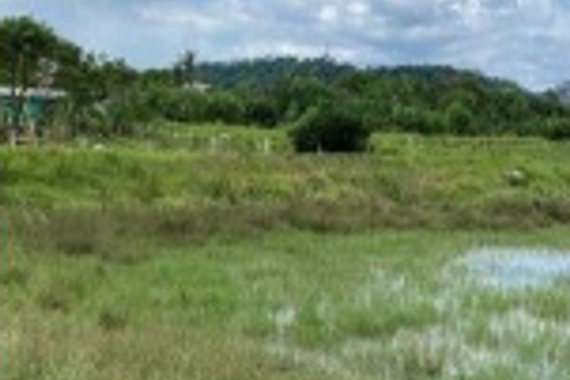 Land for Sale in Maugat, Nasugbu, Batangas – photo 5