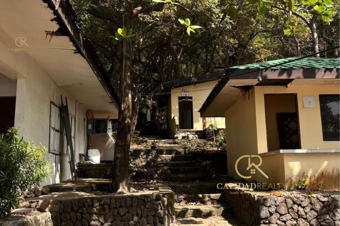 Land for Sale in Maugat, Nasugbu, Batangas – photo 4