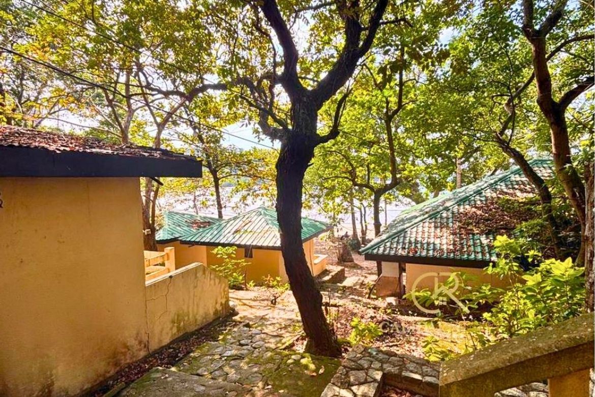 Land for Sale in Maugat, Nasugbu, Batangas – photo 6