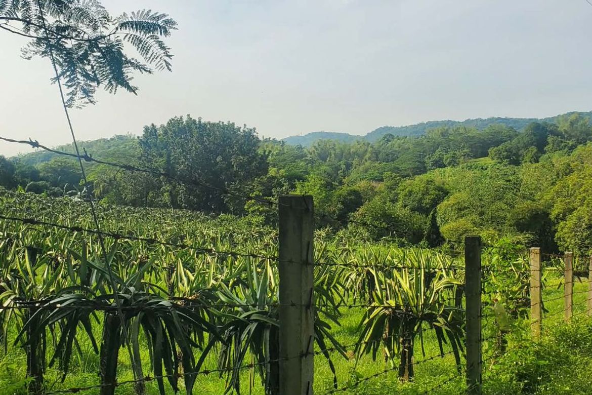 Land for Sale in Maugat, Nasugbu, Batangas – photo 6