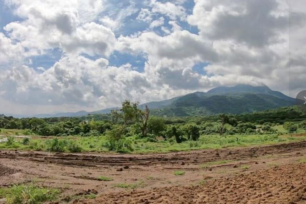 Land for Sale in Maunong, Calamba, Laguna – photo 8