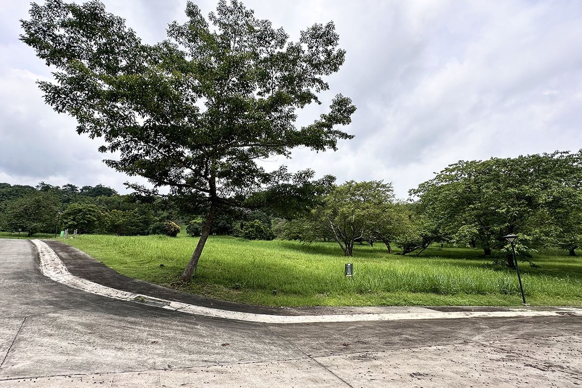 Land for Sale in Maunong, Calamba, Laguna