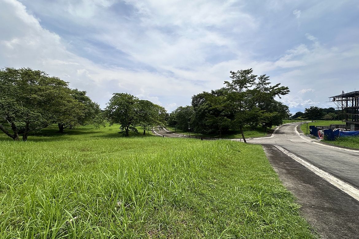 Land for Sale in Maunong, Calamba, Laguna – photo 2
