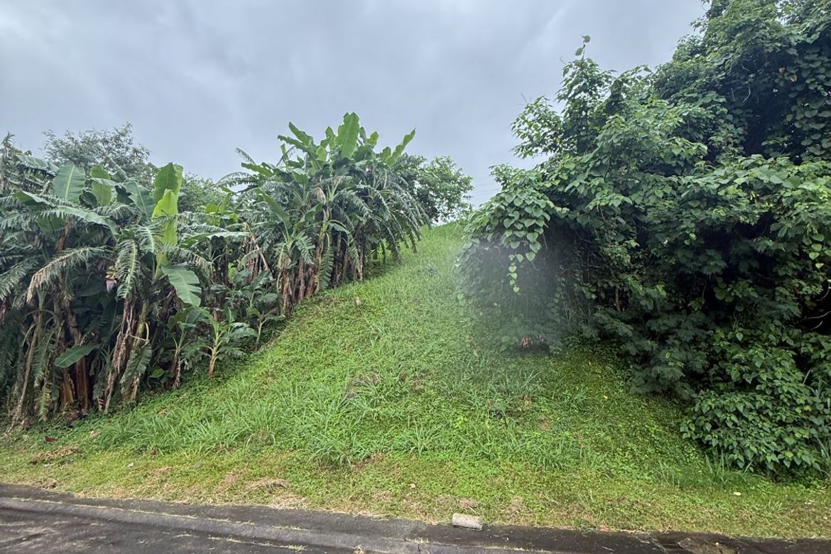 Land for Sale in Maunong, Calamba, Laguna – photo 3