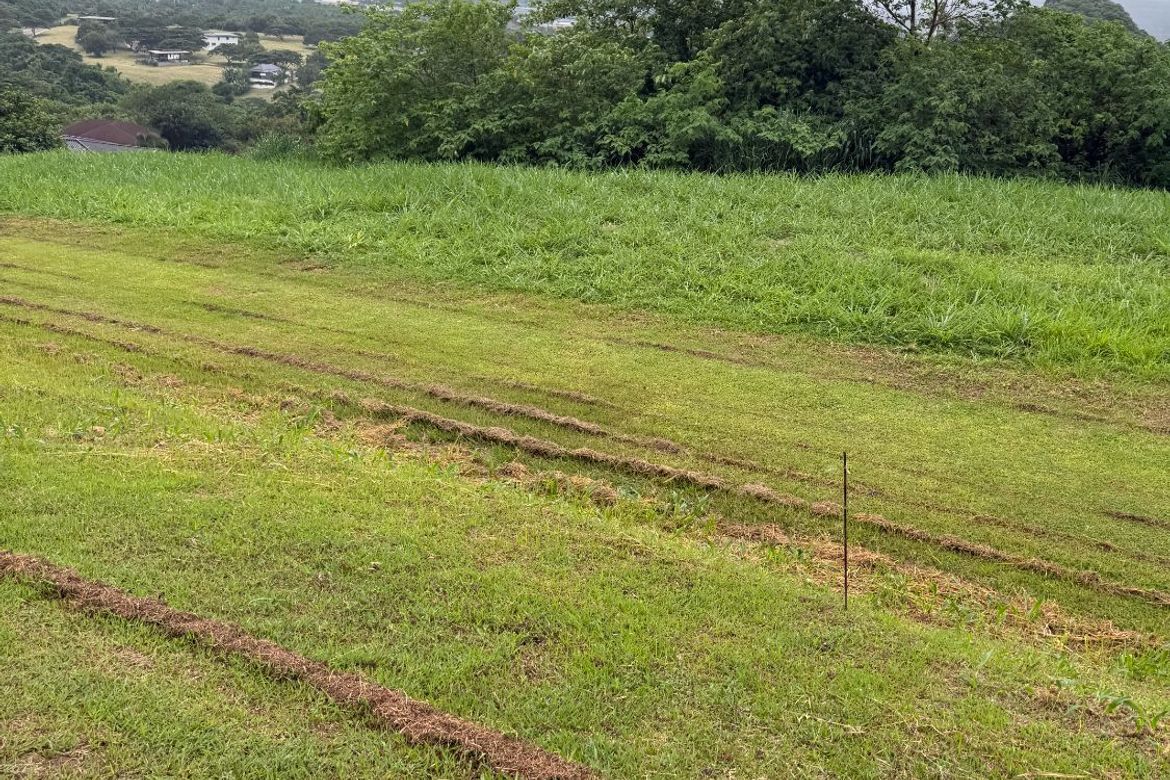 Land for Sale in Maunong, Calamba, Laguna – photo 6