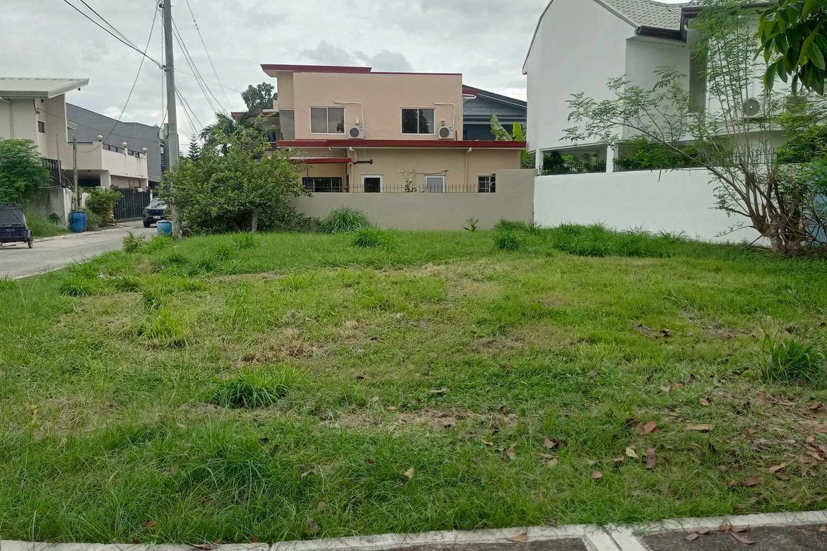 Land for Sale in Mawaque, Mabalacat, Pampanga – photo 5