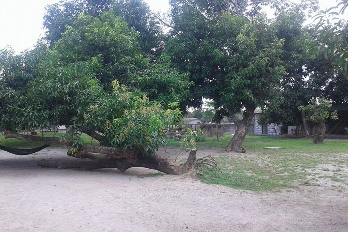 Land for Sale in Mawaque, Mabalacat, Pampanga – photo 3