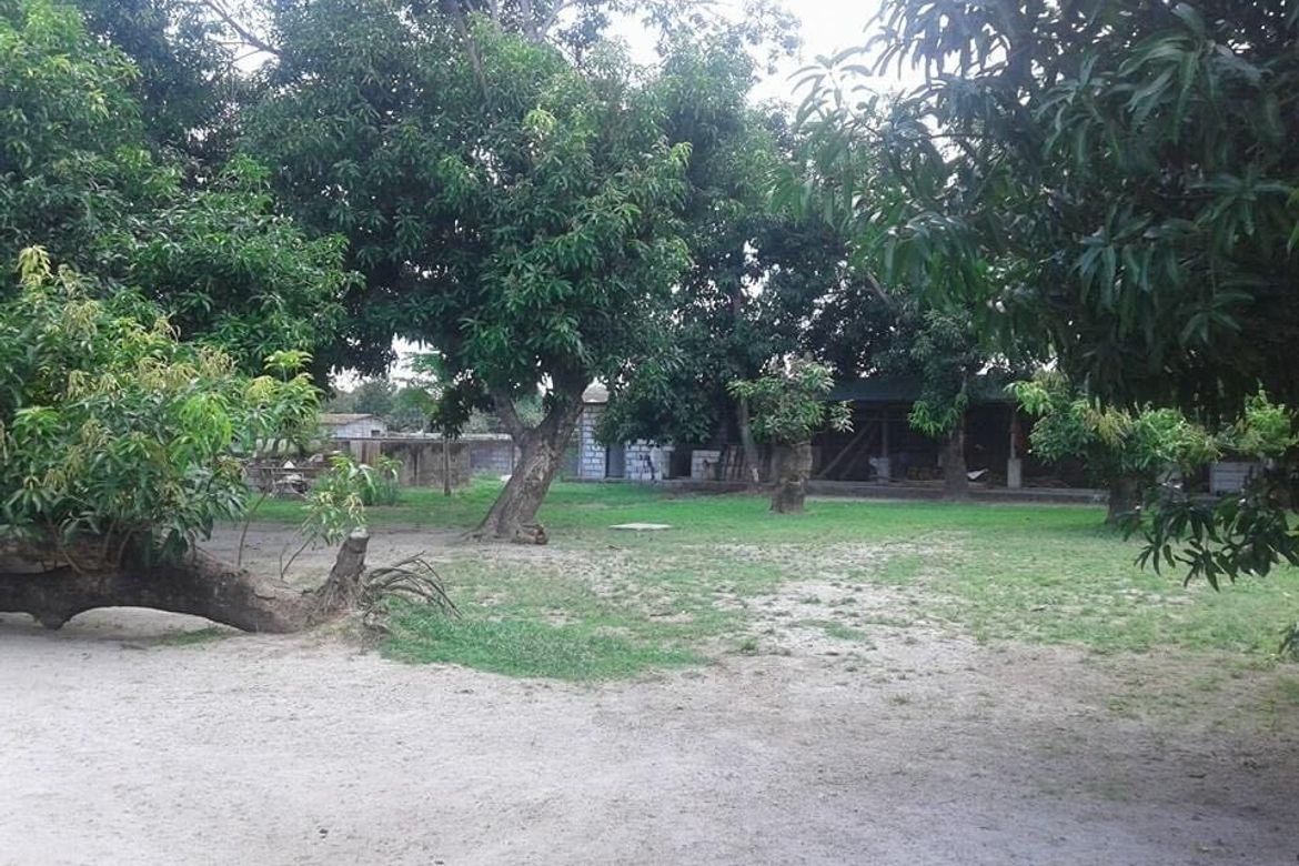 Land for Sale in Mawaque, Mabalacat, Pampanga – photo 5