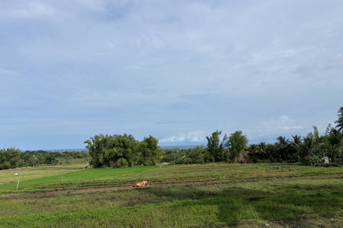Land for Sale in Mayabon, Zamboanguita, Negros Oriental – photo 7