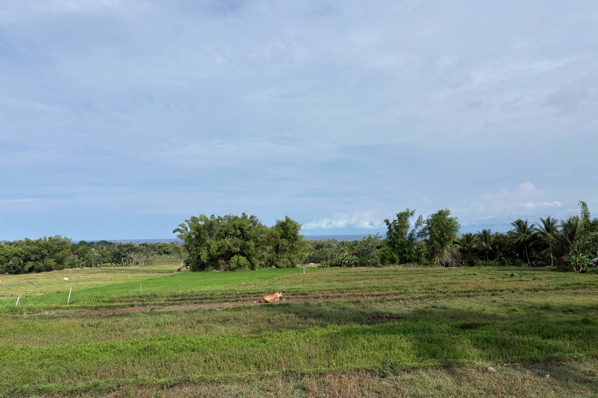 Land for Sale in Mayabon, Zamboanguita, Negros Oriental – photo 8