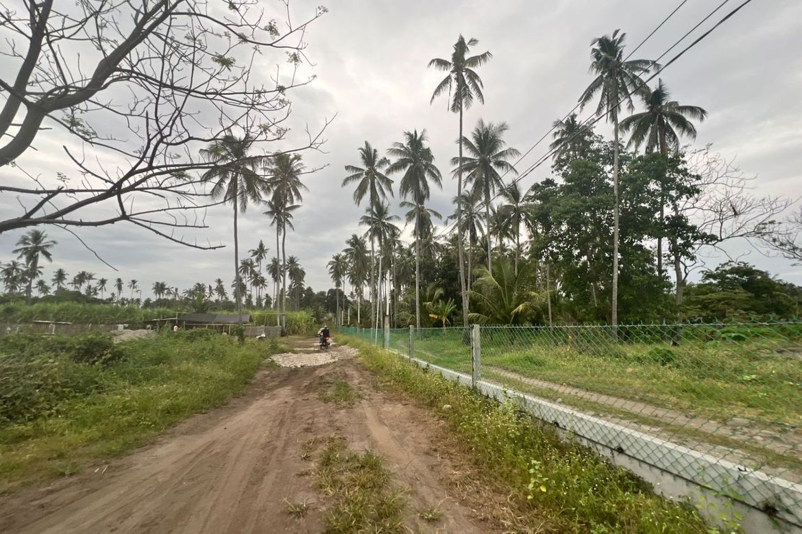 Land for Sale in Mayabon, Zamboanguita, Negros Oriental – photo 4