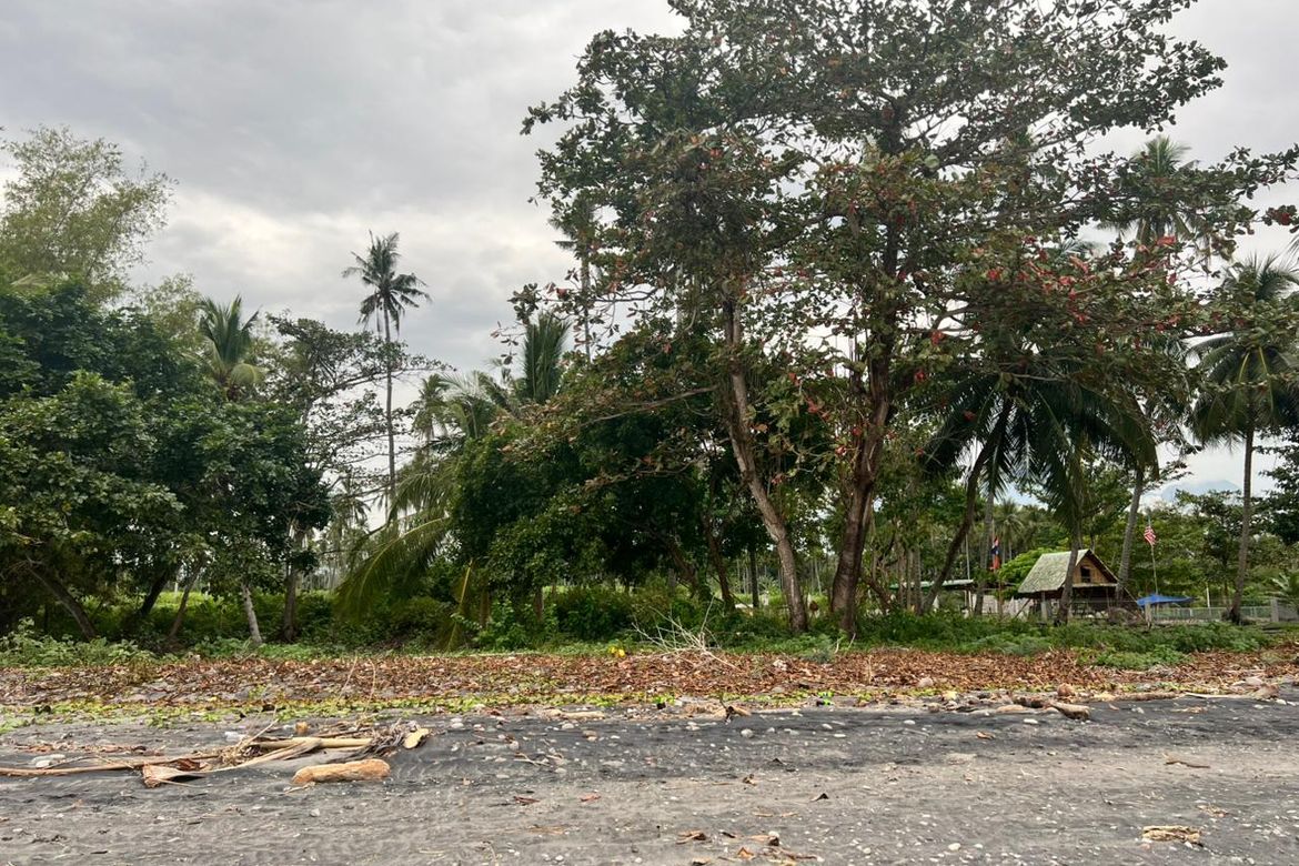 Land for Sale in Mayabon, Zamboanguita, Negros Oriental – photo 5