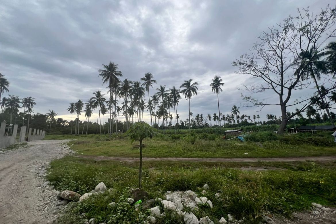 Land for Sale in Mayabon, Zamboanguita, Negros Oriental – photo 6