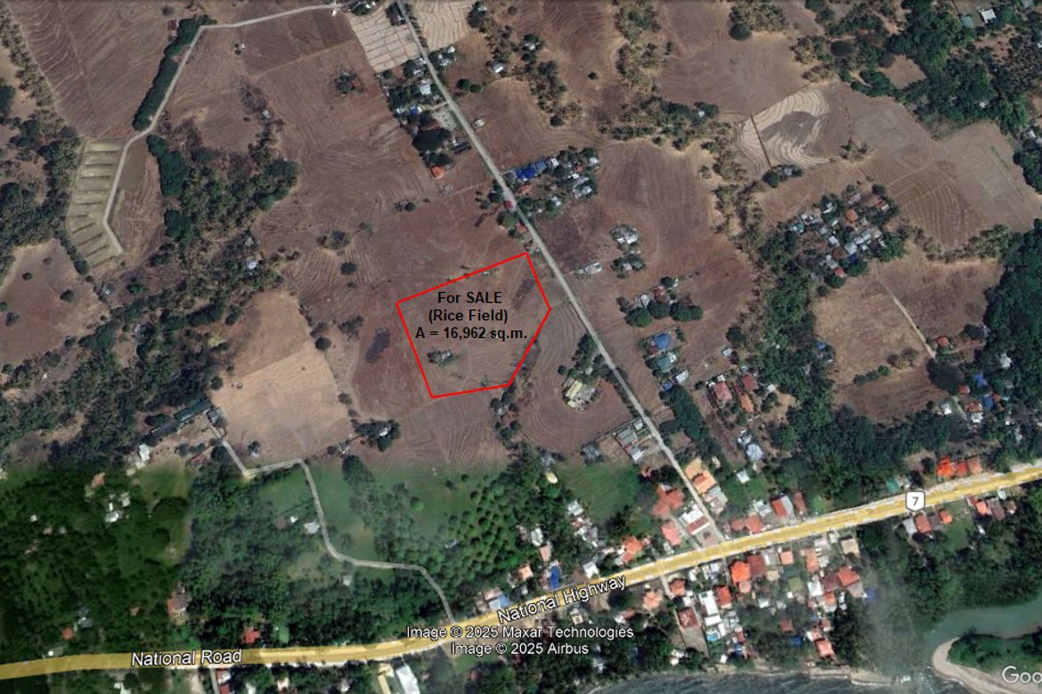 Land for Sale in Mayabon, Zamboanguita, Negros Oriental – photo 3