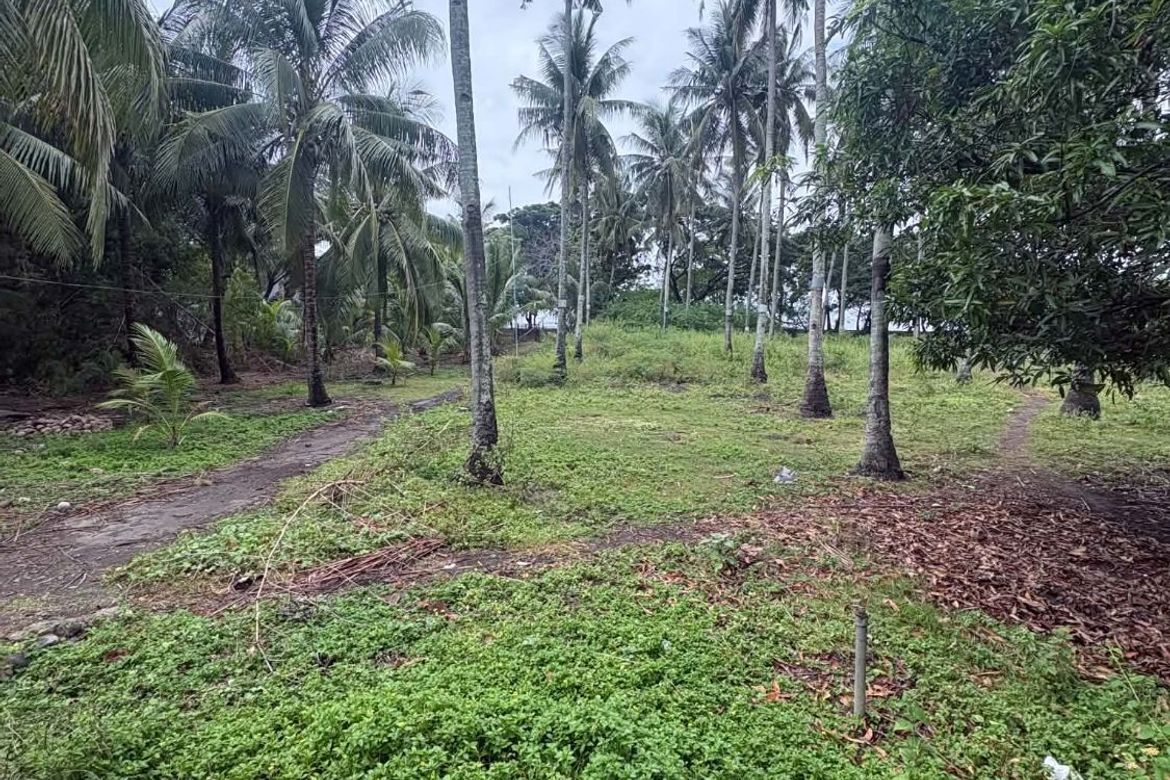 Land for Sale in Mayabon, Zamboanguita, Negros Oriental – photo 6