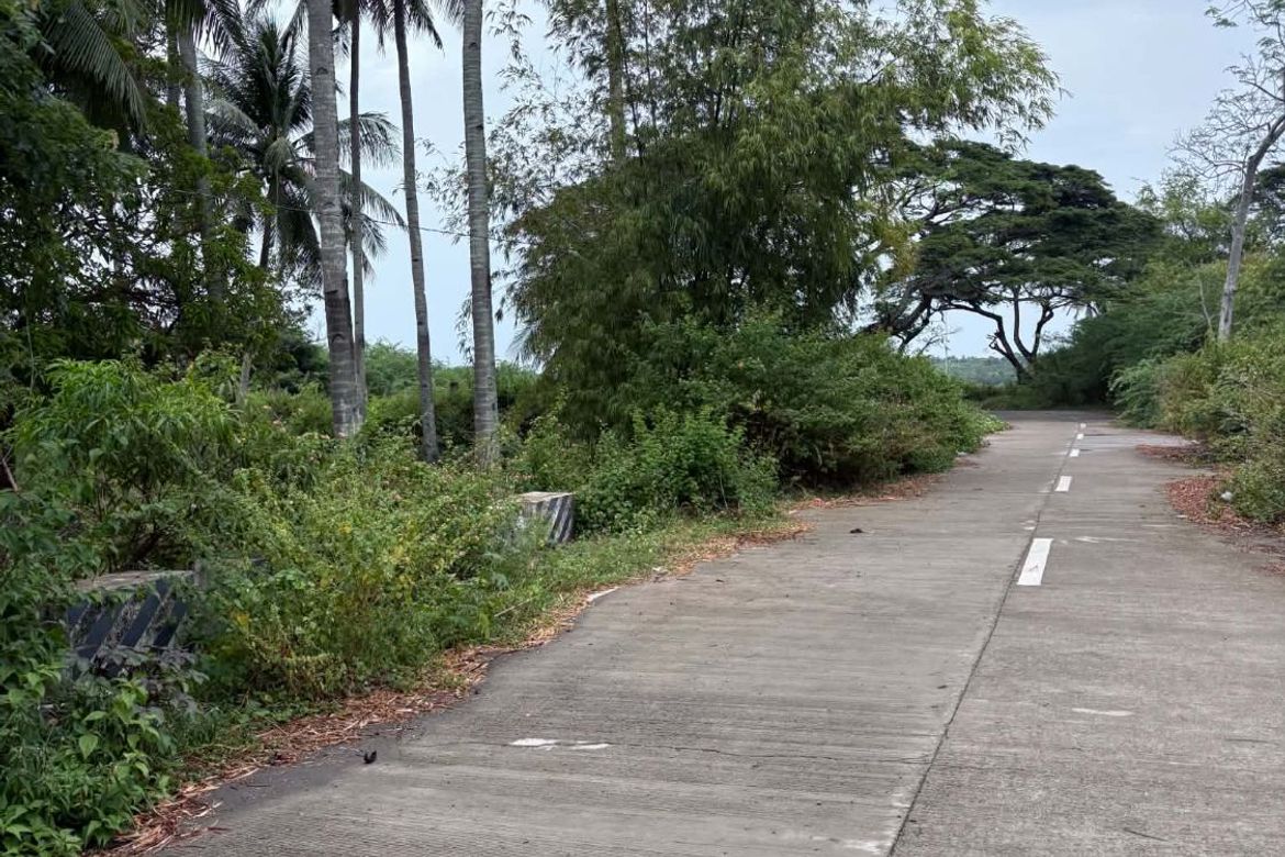 Land for Sale in Mayabon, Zamboanguita, Negros Oriental – photo 8