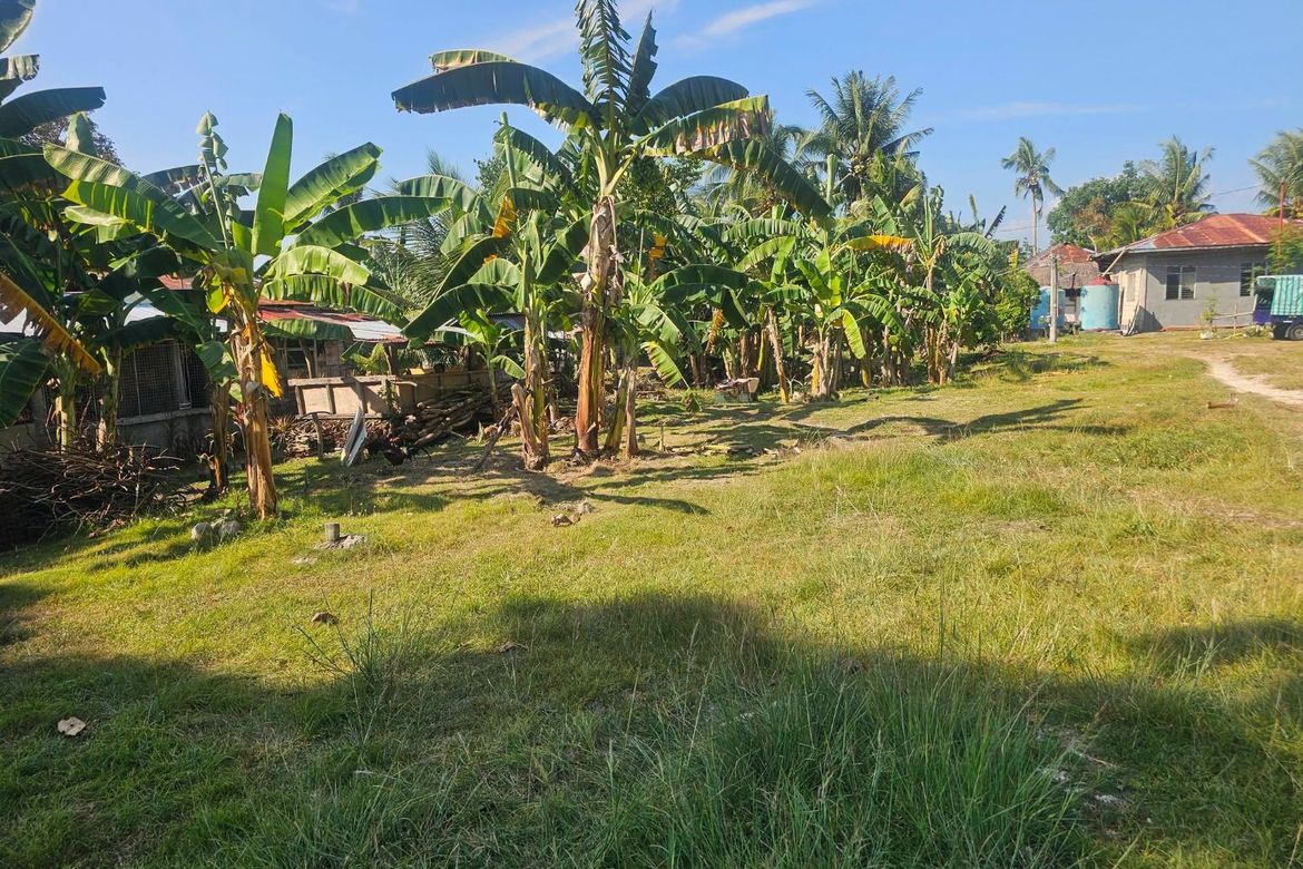 Land for Sale in Mayacabac, Dauis, Bohol