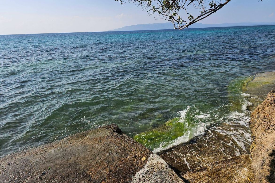Land for Sale in Mayacabac, Dauis, Bohol – photo 2