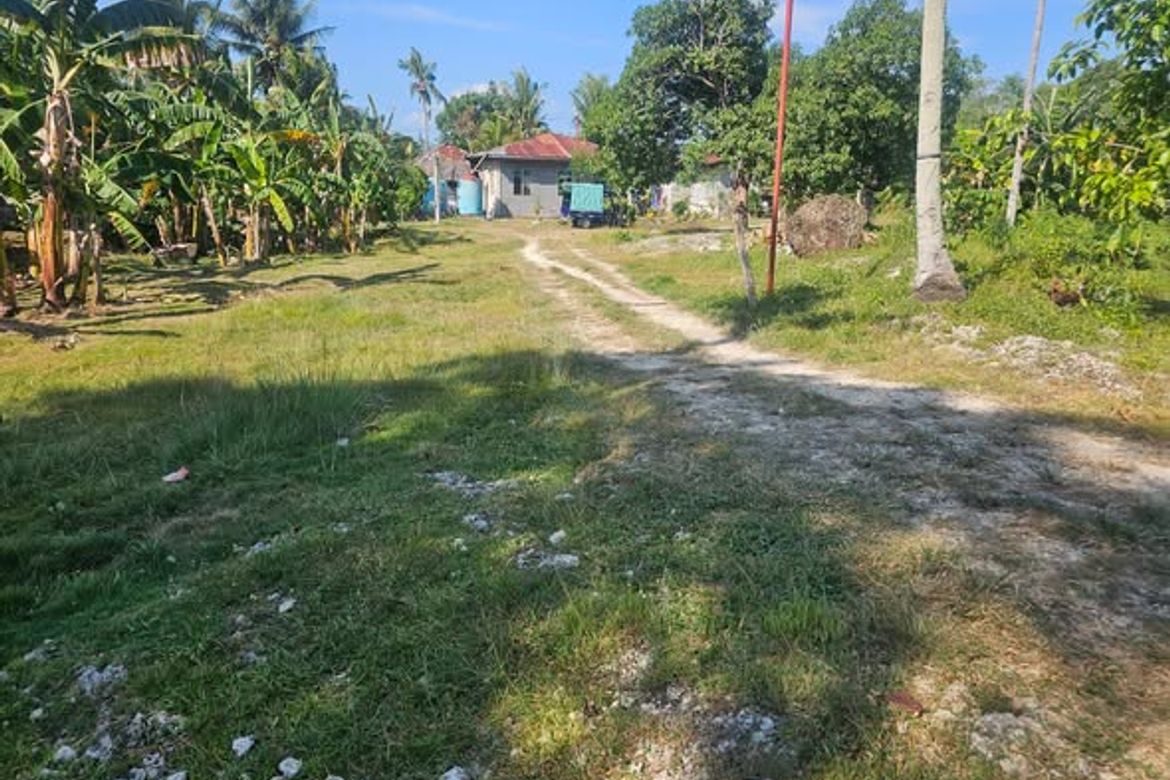 Land for Sale in Mayacabac, Dauis, Bohol – photo 4