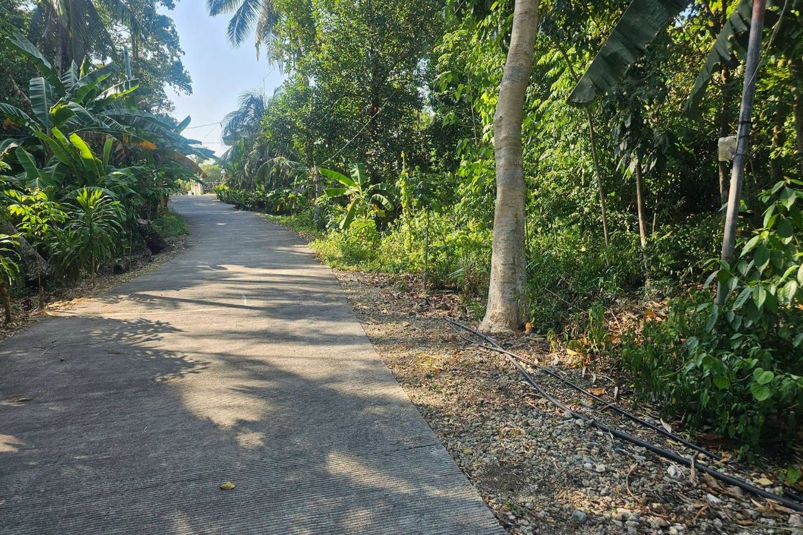 Land for Sale in Mayacabac, Dauis, Bohol – photo 7