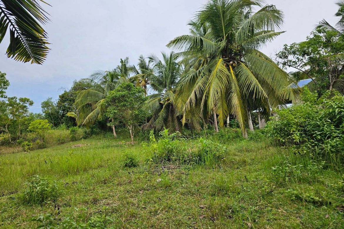 Land for Sale in Mayacabac, Dauis, Bohol – photo 5