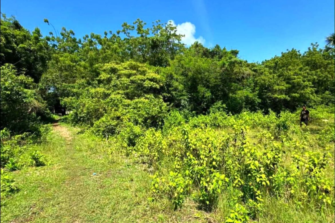 Land for Sale in Mayacabac, Dauis, Bohol – photo 4