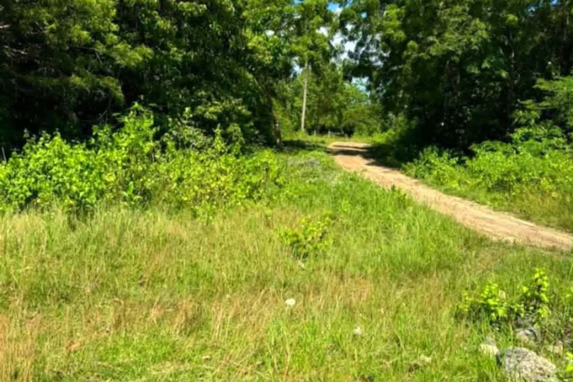 Land for Sale in Mayacabac, Dauis, Bohol – photo 6