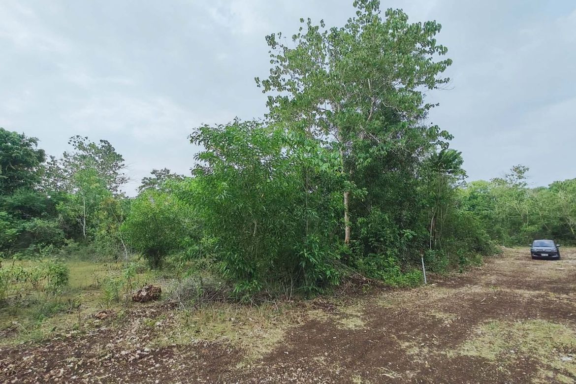 Land for Sale in Mayacabac, Dauis, Bohol – photo 3