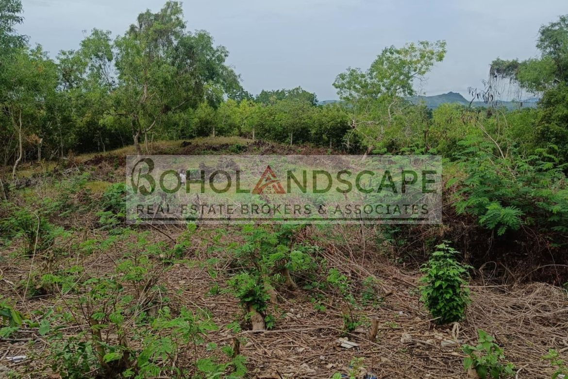 Land for Sale in Mayacabac, Dauis, Bohol