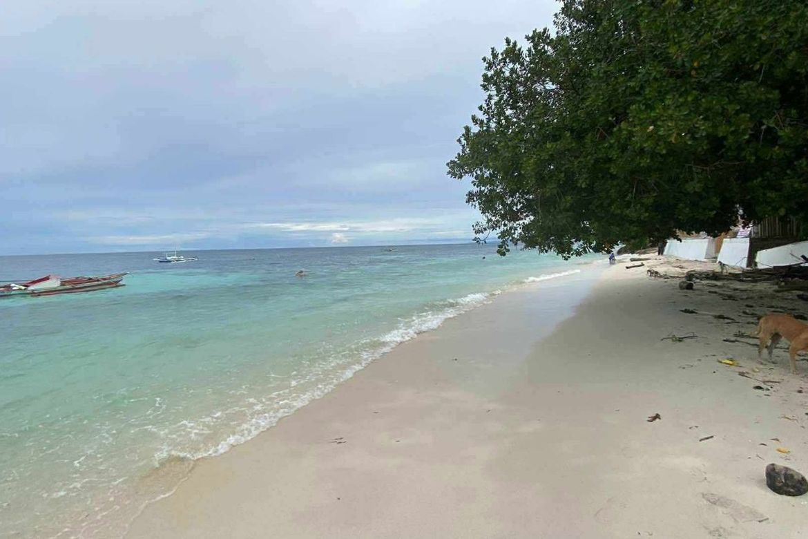 Land for Sale in Mayacabac, Dauis, Bohol