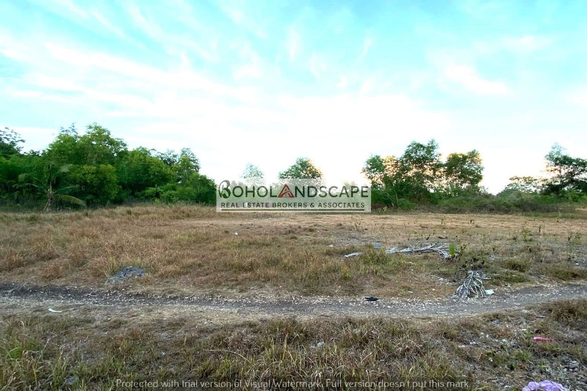 Land for Sale in Mayacabac, Dauis, Bohol – photo 3