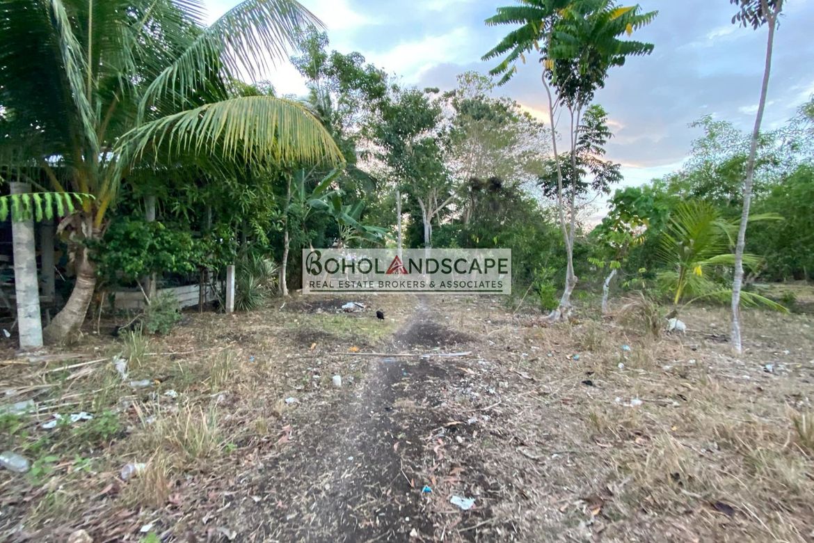 Land for Sale in Mayacabac, Dauis, Bohol – photo 6