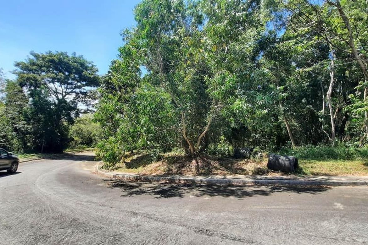 Land for Sale in Mayamot, Antipolo, Rizal – photo 2