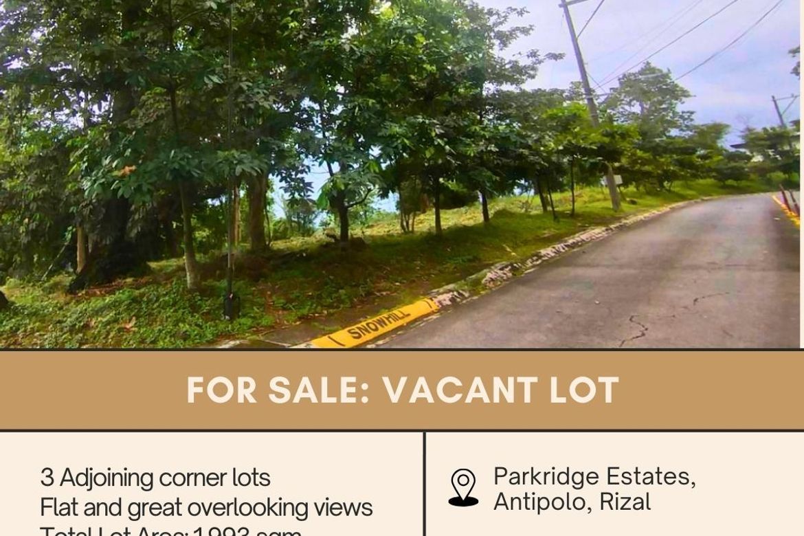 Land for Sale in Mayamot, Antipolo, Rizal