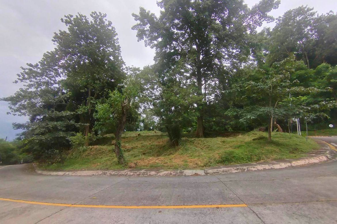 Land for Sale in Mayamot, Antipolo, Rizal – photo 3