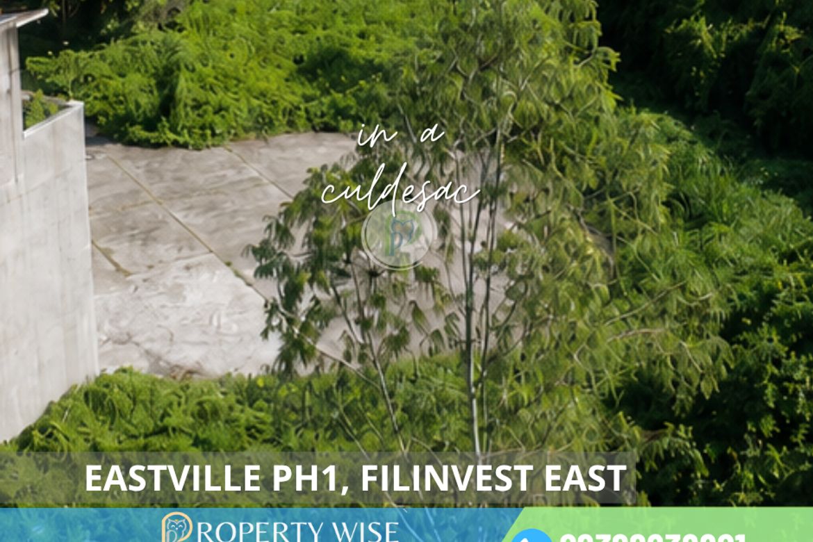 Land for Sale in Mayamot, Antipolo, Rizal – photo 3