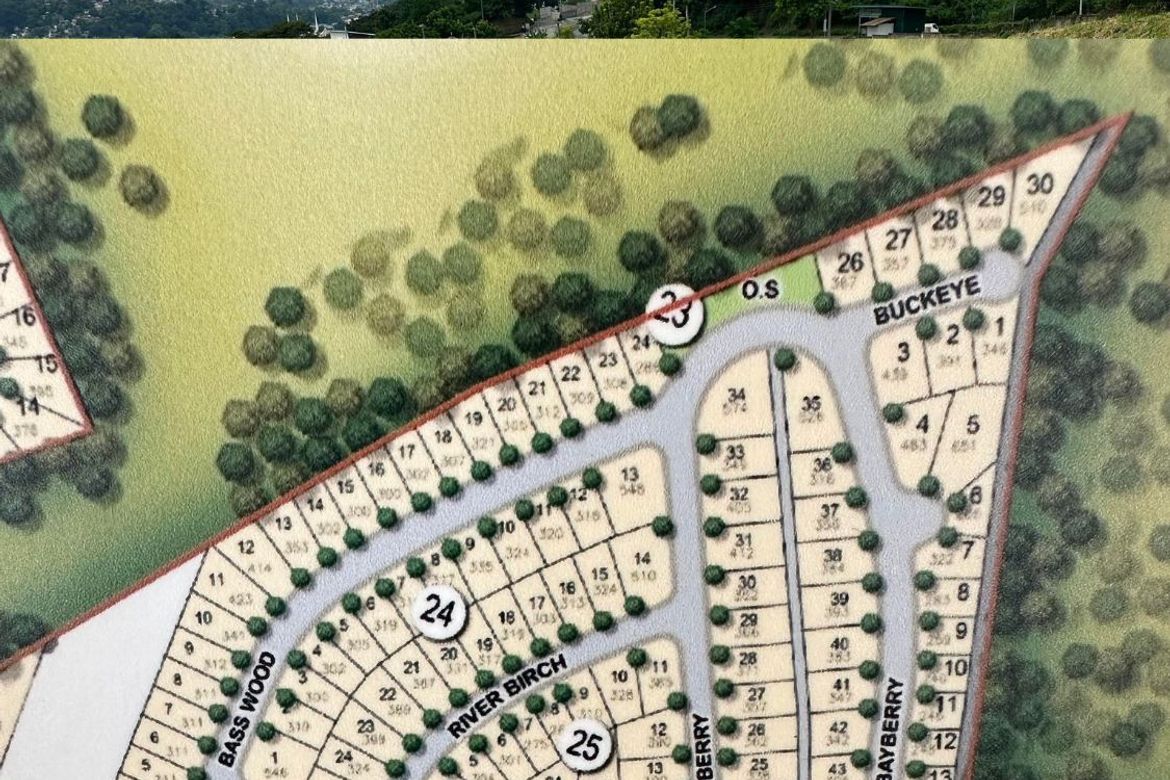 Land for Sale in Mayamot, Antipolo, Rizal
