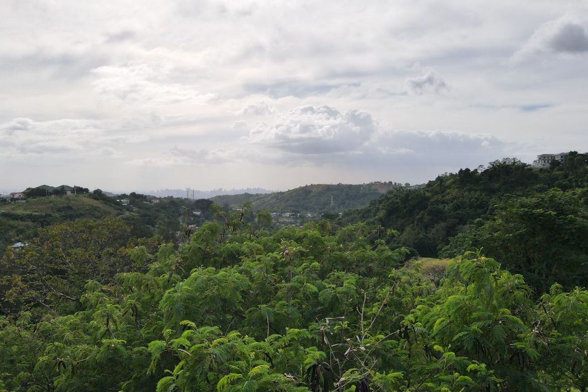 Land for Sale in Mayamot, Antipolo, Rizal – photo 6