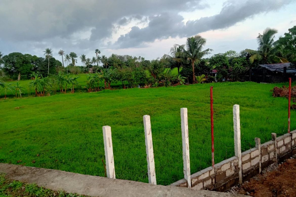 Land for Sale in Mayao Silangan, Lucena, Quezon – photo 5