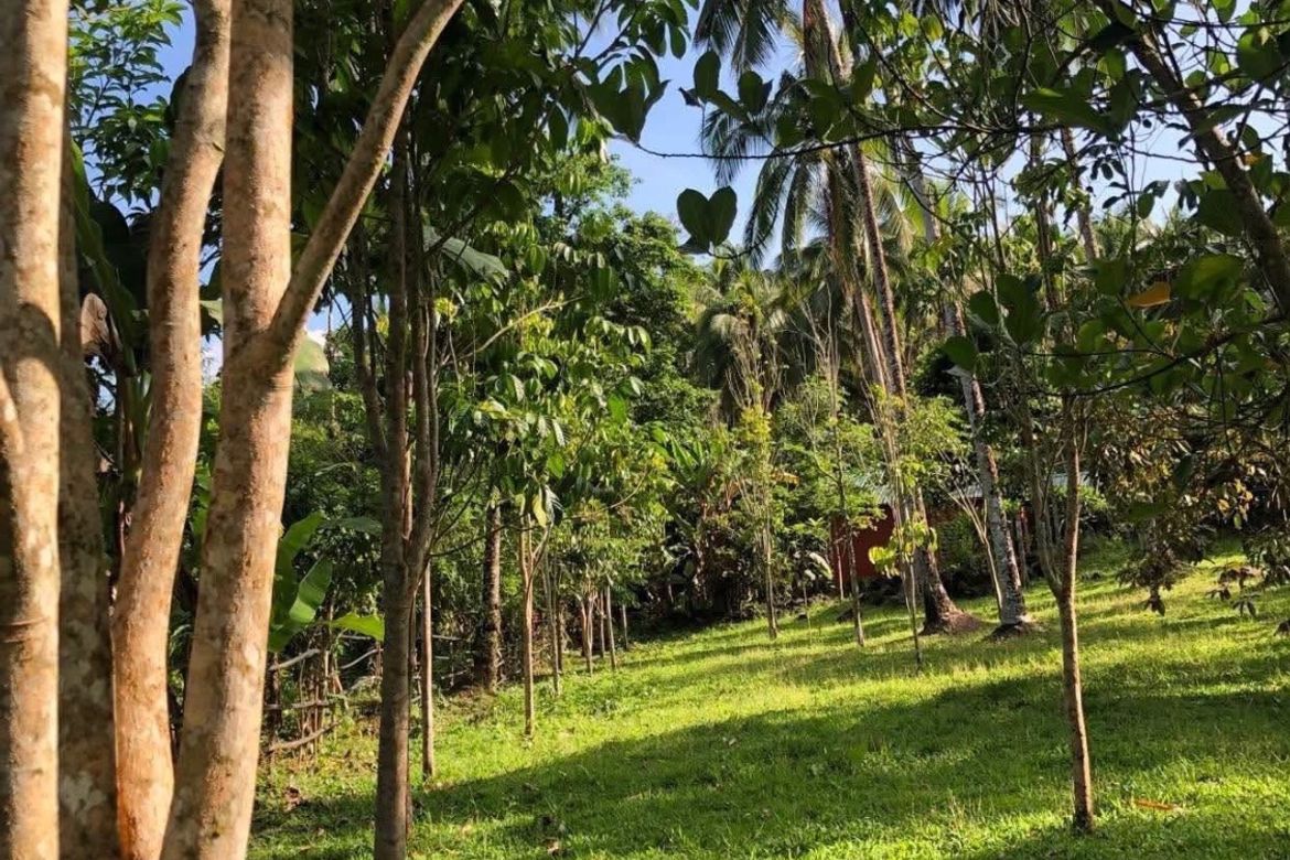 Land for Sale in Mayao Silangan, Lucena, Quezon