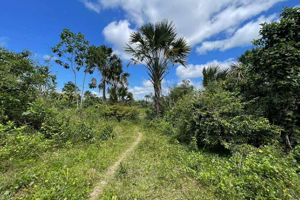 Land for Sale in Mayao Silangan, Lucena, Quezon – photo 3