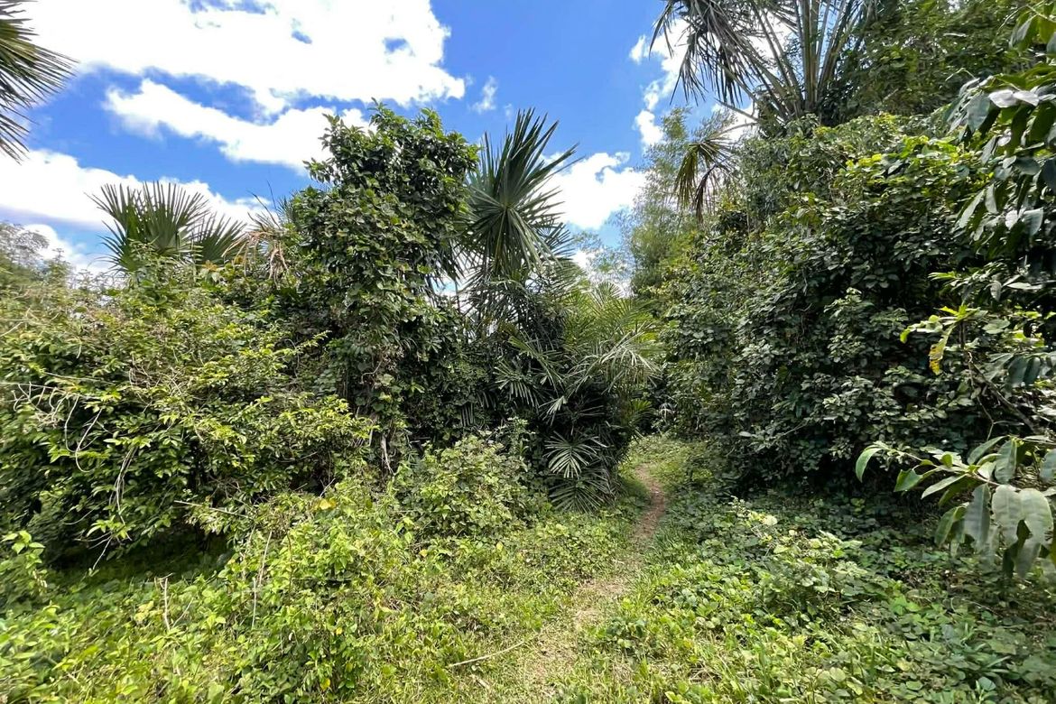Land for Sale in Mayao Silangan, Lucena, Quezon – photo 5